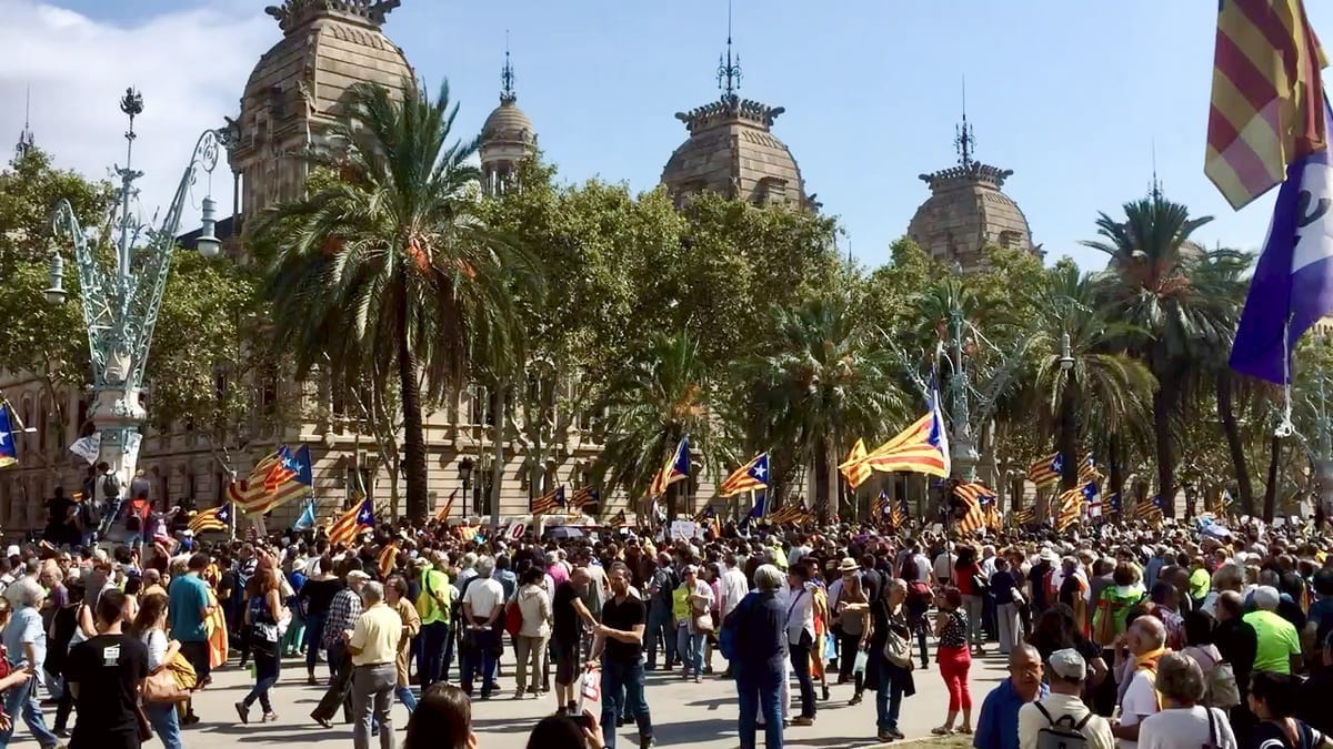 Lots of Catalan flags
